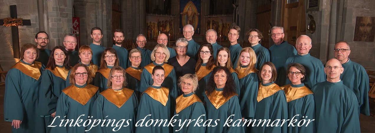 Linköpings domkyrkas kammarkör!